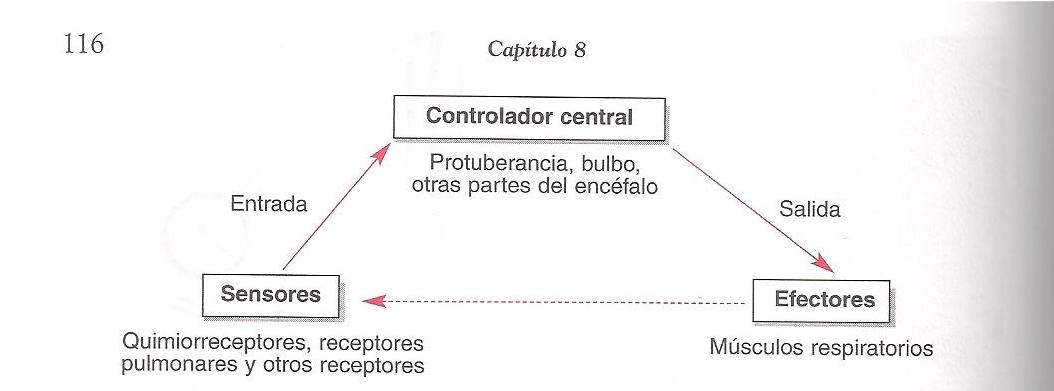 Diagrama de control