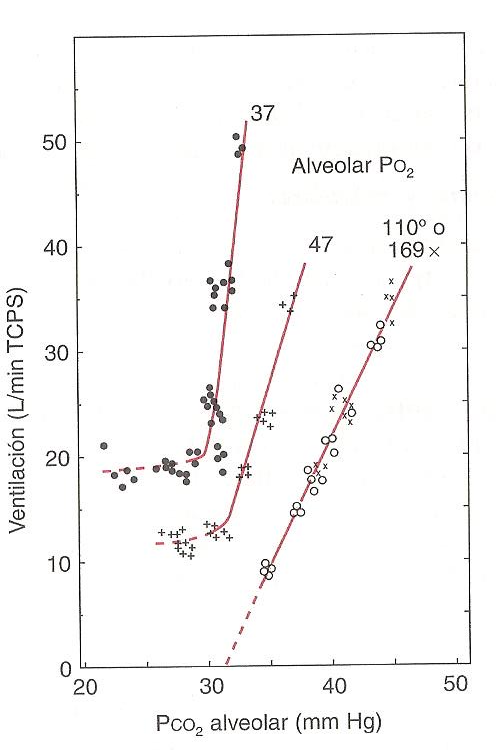 Ventilación vs PCO2 alveolar
