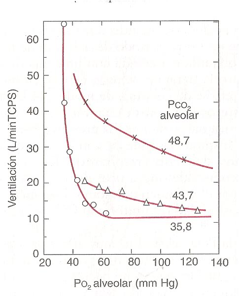 Ventilación vs PO2 alveolar